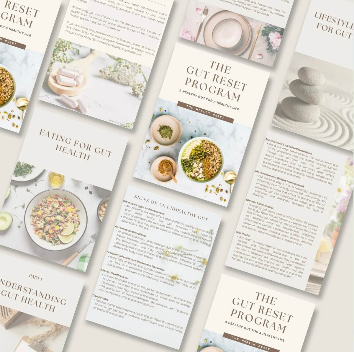 The Gut Reset Program to heal and restore your gut health